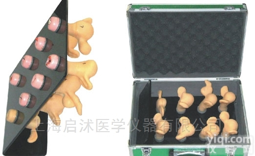 QS/ZG  高级<em>子宫</em><em>宫颈</em><em>病变</em>模型（8件）