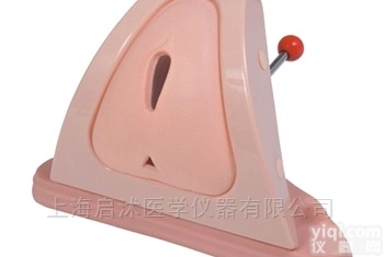 QS/F3A  高级<em>会阴</em><em>切开</em><em>缝合</em>技能训练模型