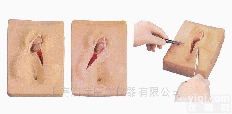 QS/F3B  <em>外阴</em><em>缝合</em>练习模型