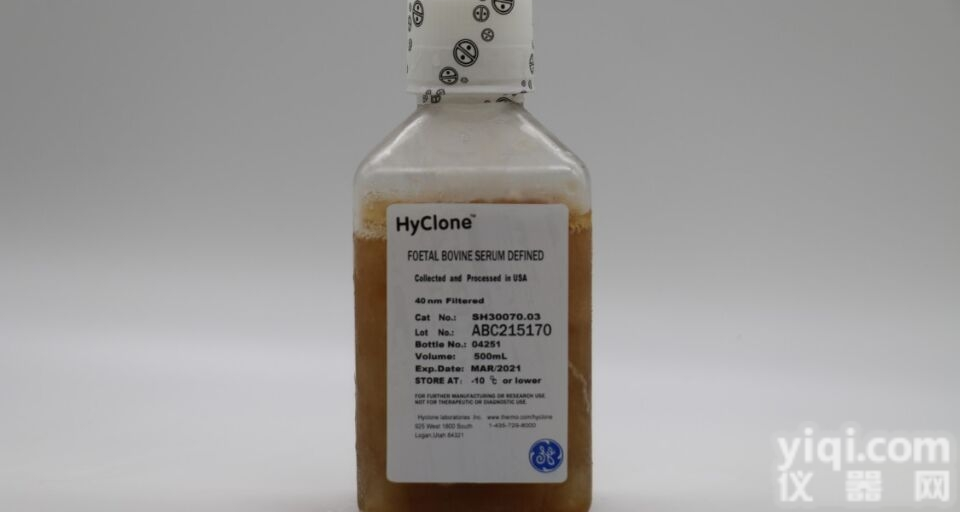 SH30910.03  HyClone胎牛血清（<em>中美洲</em>）