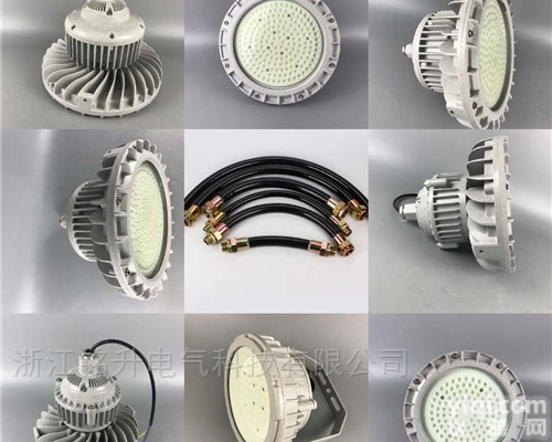 110wLED车间用<em>防爆灯</em> 220V油漆房防爆管吊灯