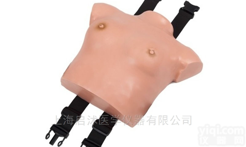 QS/F7C  高级着装式<em>乳房</em><em>自检</em><em>模型</em>