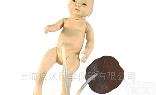 QS/H132  <em>高级新生儿脐带护理模型</em>