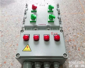 BXM（D）51-粉尘防爆照明配电箱（尘密型）