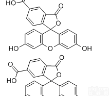 5（6）-羧基<em>荧光</em>素  cas72088-94-9 5（6）-羧基<em>荧光</em>素（<em>混合</em>物）