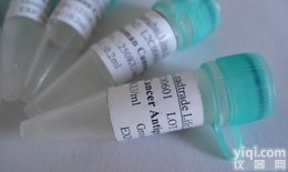 EMC1<em>抗原</em>，腺样癌<em>特异性</em>相关<em>抗原</em>EMC1<em>抗原</em>