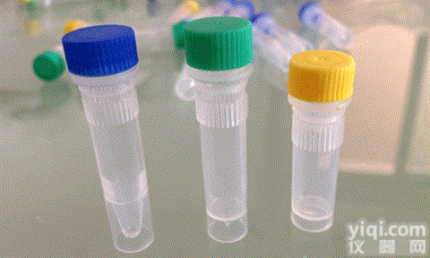 蛋白<em>激酶</em>B抗体（<em>小鼠</em>提取）