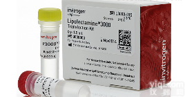 <em>L3000015</em>  ​脂质体3000<em>转染</em><em>试剂</em>