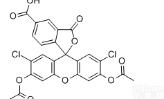 <em>细胞膜</em>  Cas 127770-45-0，<em>CDCFDA</em><em>细胞膜</em>