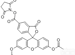5-（and-6）-<em>Carboxy</em>-2'  Cas 150347-59-4，CDCFDA-SE细胞膜