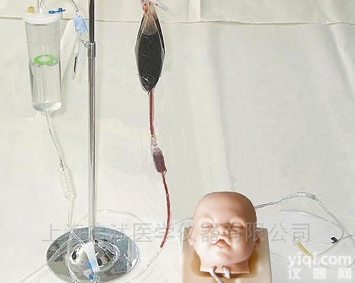 QS/S6-1  <em>高级婴儿头部双侧静脉注射穿刺训练模型</em>