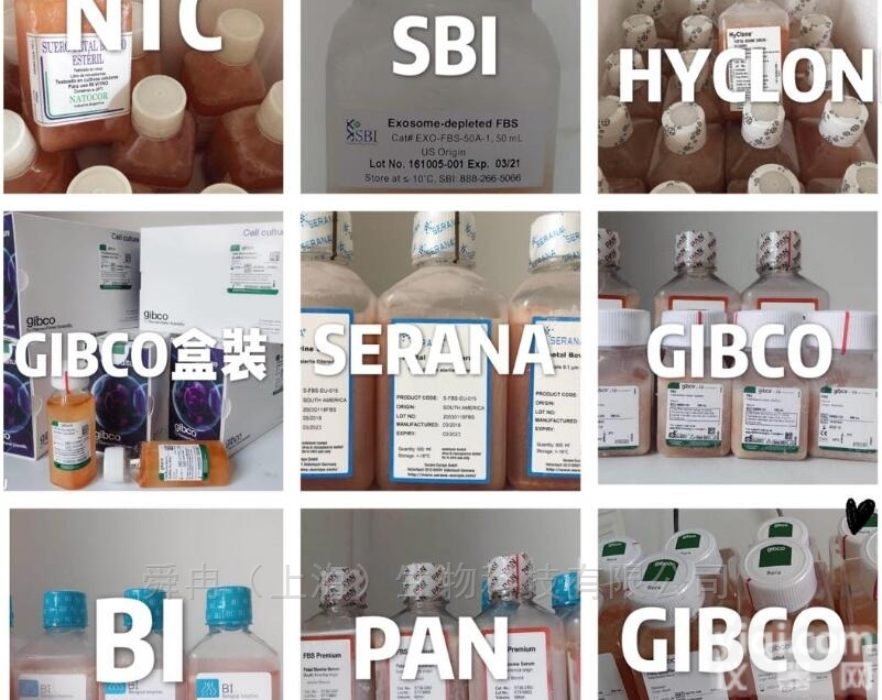 NTC优等胎牛血清SFBE<em>阿根廷</em>血源现货