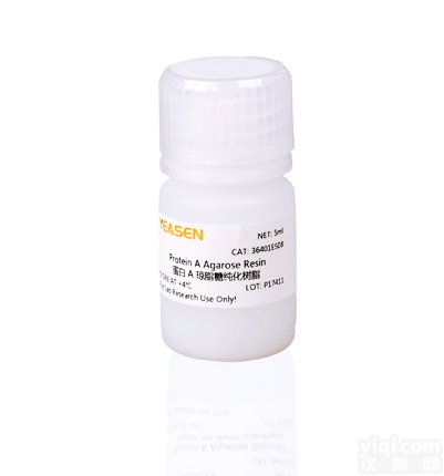 36401ES08  Protein A Agarose Beads 蛋白A琼脂糖珠