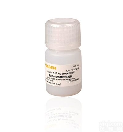 36403ES03  Protein A/G Agarose Beads 蛋白A/G琼脂糖珠