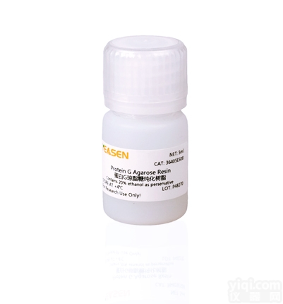 36405ES08  <em>Protein</em> G <em>Agarose</em> <em>Resin</em> 蛋白G琼脂糖纯化树脂