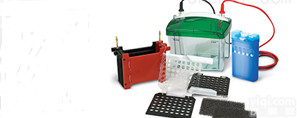 MiniTransBlotCell  <em>伯乐</em>BIORAD<em>转印</em>槽MiniTransBlotCell<em>现货</em>