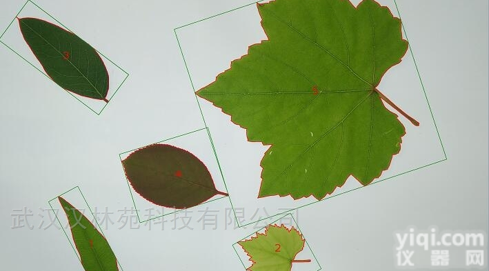 HLY-LEAFII  大<em>叶片</em>叶面积<em>测定仪</em>哪里有卖