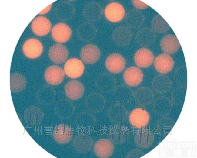 Cyto-Plex<em>羧基</em>修饰<em>微粒</em>