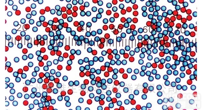 深度染色<em>羧基</em>修饰<em>微粒</em>