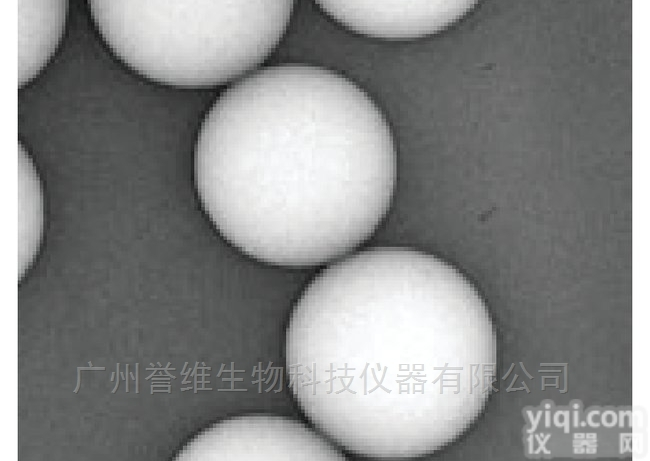 Power-Bind链酶<em>亲和</em>素<em>包被</em>