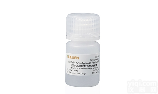 36404ES08  <em>Protein</em> A/G <em>Agarose</em> <em>Resin</em> 4FF  蛋白A/...