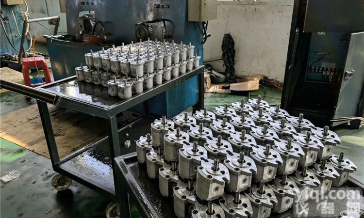 提<em>供油泵</em><em>总成</em>CBW-F310-ALP