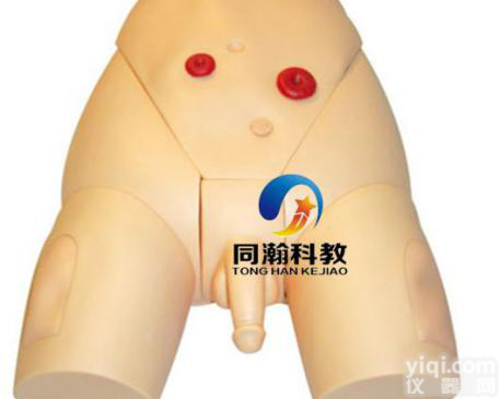 TAH-H70/2  高级男性<em>导尿</em>模型|<em>护理</em>训练