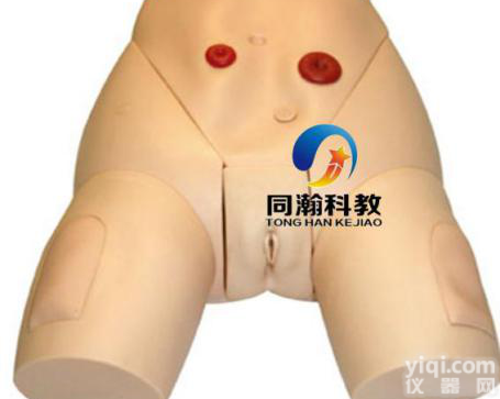 TAH-H70/3  高级女性<em>导尿</em>模型|<em>护理</em>训练