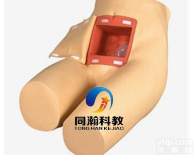 TAH-H35  <em>灌肠</em><em>训练</em><em>模型</em>|护理模拟人