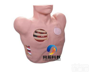 TAH-L66  <em>胸腔穿刺引流模型</em>|护理