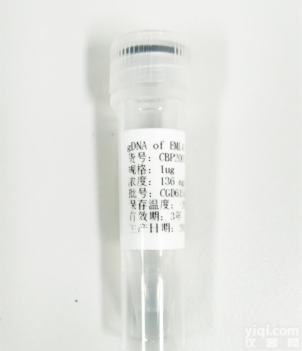 <em>BRAF</em> p.V600K <em>标准品</em>