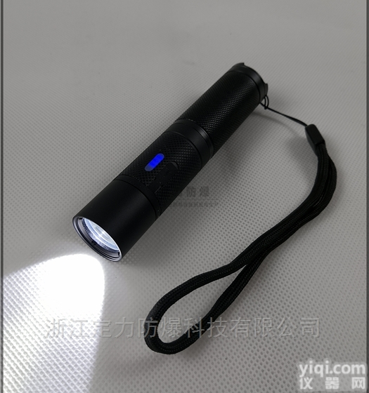 DBS202C  3WLED微型<em>强光</em><em>防爆</em>手电筒 <em>充电式</em>电筒