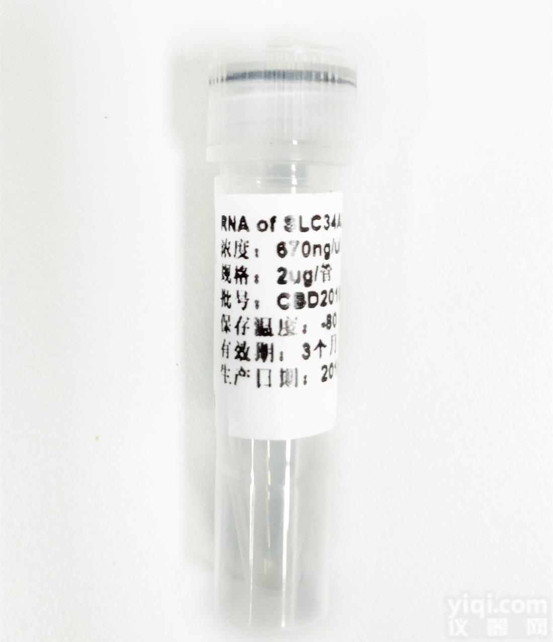 <em>MTAP</em>-BNC2 <em>Fusion</em> 融合标准品