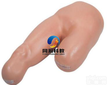 TAH-LV12  高级<em>低位</em><em>包扎</em>模型|护理