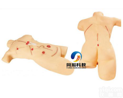 TAH-LF5  全身<em>缝合</em><em>包扎</em>展示<em>模型</em>|护理
