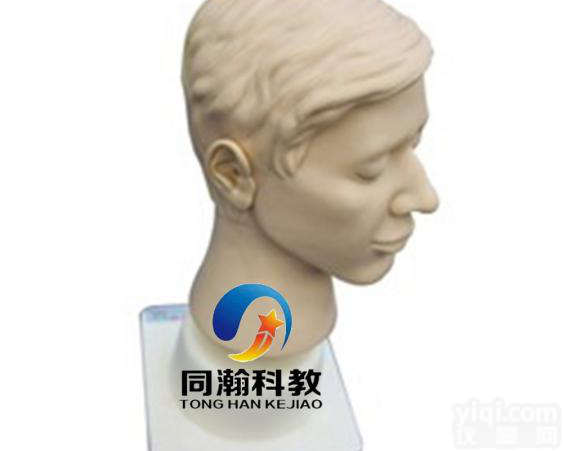 TAH-LV16  高级<em>耳部</em>检查<em>模型</em>|护理