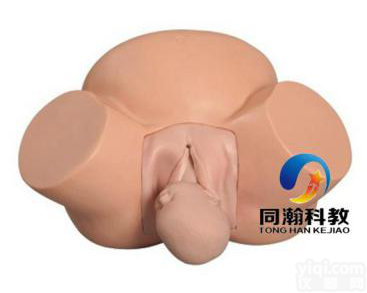 TAH-F8  高级<em>助产</em><em>训练</em>模型|<em>妇婴</em>