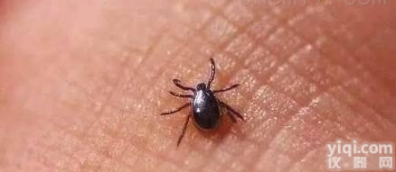 newBuniavirus试剂盒  人新型<em>布尼亚</em>病毒<em>抗原</em>检测试剂盒<em>检测卡</em>纸条