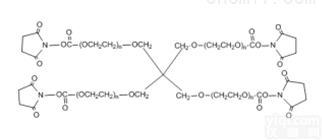 <em>修饰</em><em>蛋白质</em>  4 arm <em>PEG</em> NHS/四臂聚乙二醇活性酯
