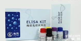CY00890A  <em>豚鼠</em><em>二胺</em><em>氧化酶</em>（DAO）ELISA试剂盒
