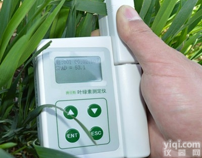 <em>绿色植物</em>叶绿素测定仪SYR-YL01