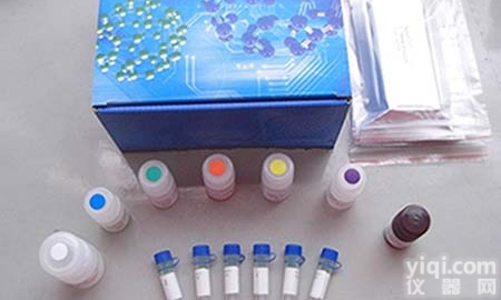 LBS258  基因<em>扩增</em>单细胞<em>基因组</em>DNA<em>扩增</em>试剂盒