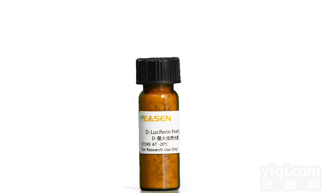 40903ES01  D-<em>萤火虫</em><em>荧光</em>素，<em>游离</em>酸