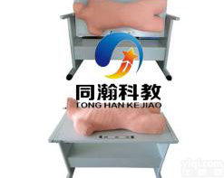 TAH/CCZ101  高级综合<em>穿刺术</em>与<em>叩诊</em>检查<em>技能</em>训练模拟人