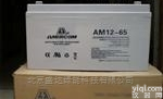 <em>艾默</em>科<em>蓄电池</em>AM12-80 12V80AH水利发电专用