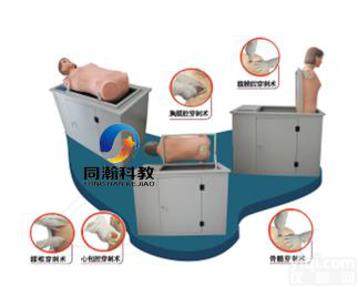 TAH/CCQ105  全自动多功能综合穿刺<em>训练</em>电脑模<em>拟人</em>
