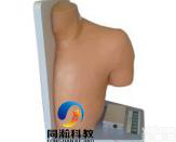 TAH/CJG135  <em>肩关节</em>腔内注射<em>模型</em>|穿刺