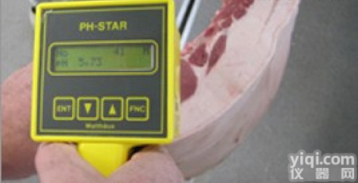12  <em>胴体肉质PH值直测仪</em>德国麦特斯品Pai