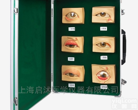 QS/A17110  常见<em>眼病</em><em>模型</em>（20只/套）