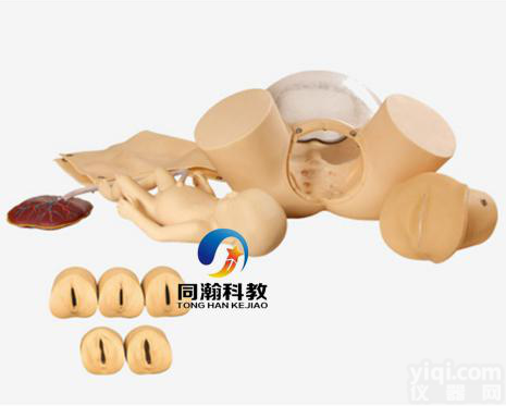 TAH-F50B  高级<em>分娩</em>综合技能训练<em>模型</em>|<em>妇婴</em>